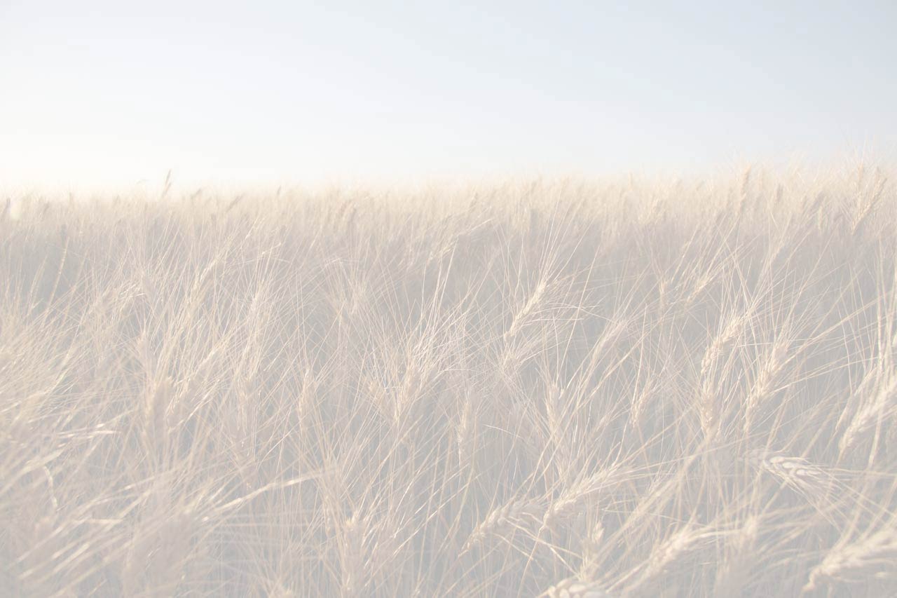 full screen background image